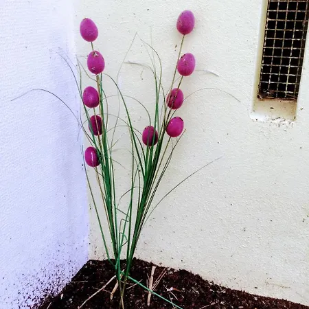 Apartamento Shortstayflat - Two Bedroom With Terrace Lisboa